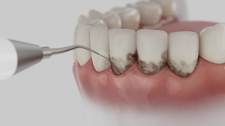 Reliable Dental contractor in Logan, UT by Dentist Open Now
